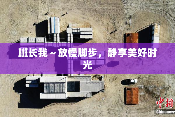 班长我～放慢脚步，静享美好时光