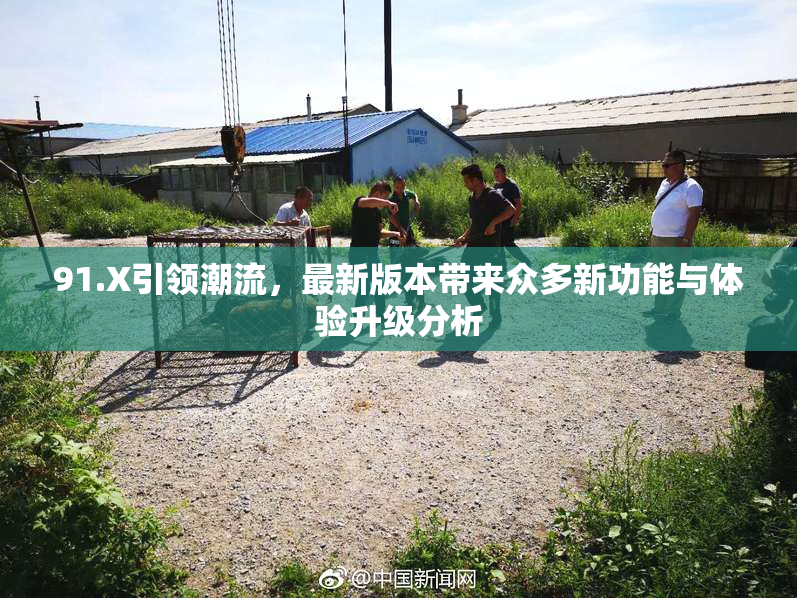 91.X引领潮流，最新版本带来众多新功能与体验升级分析