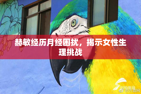 赫敏经历月经困扰，揭示女性生理挑战
