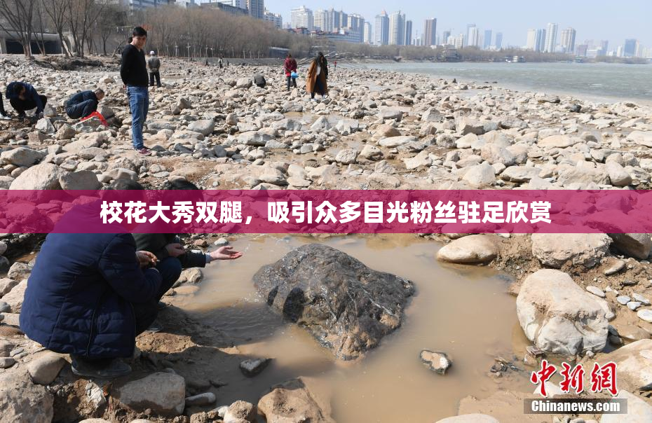 校花大秀双腿，吸引众多目光粉丝驻足欣赏