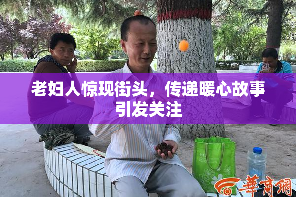老妇人惊现街头，传递暖心故事引发关注