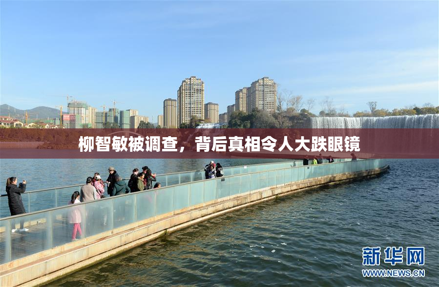 柳智敏被调查，背后真相令人大跌眼镜