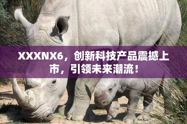 XXXNX6，创新科技产品震撼上市，引领未来潮流！