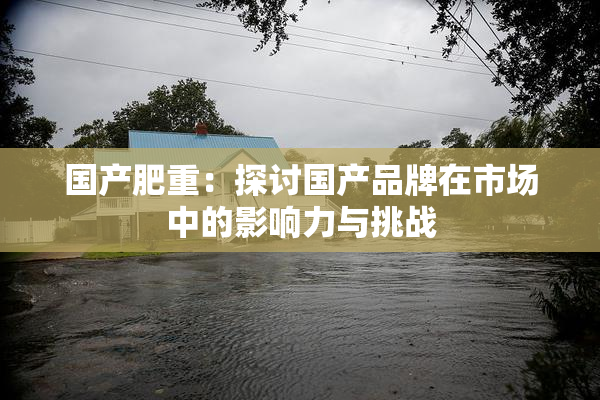 国产肥重：探讨国产品牌在市场中的影响力与挑战