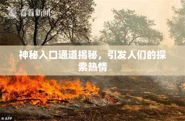 神秘入口通道揭秘，引发人们的探索热情