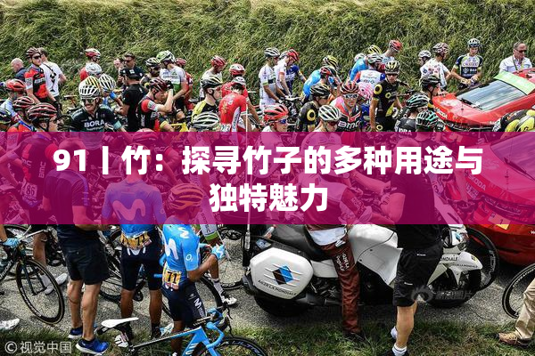 91丨竹：探寻竹子的多种用途与独特魅力