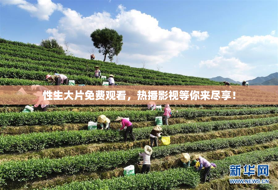性生大片免费观看，热播影视等你来尽享！