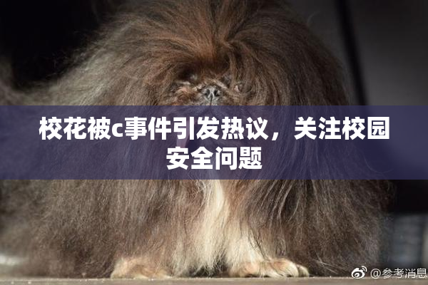 校花被c事件引发热议，关注校园安全问题