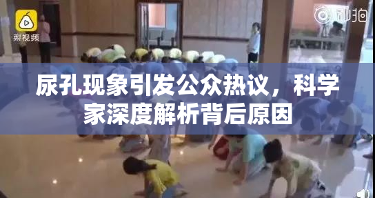 尿孔现象引发公众热议，科学家深度解析背后原因