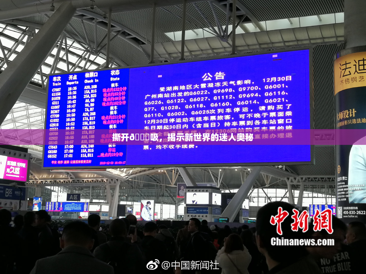 撕开👙吸，揭示新世界的迷人奥秘