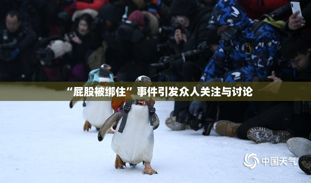“屁股被绑住”事件引发众人关注与讨论