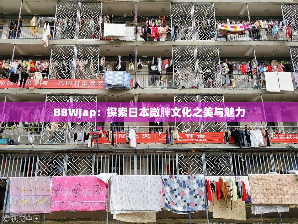 BBWJap：探索日本微胖文化之美与魅力