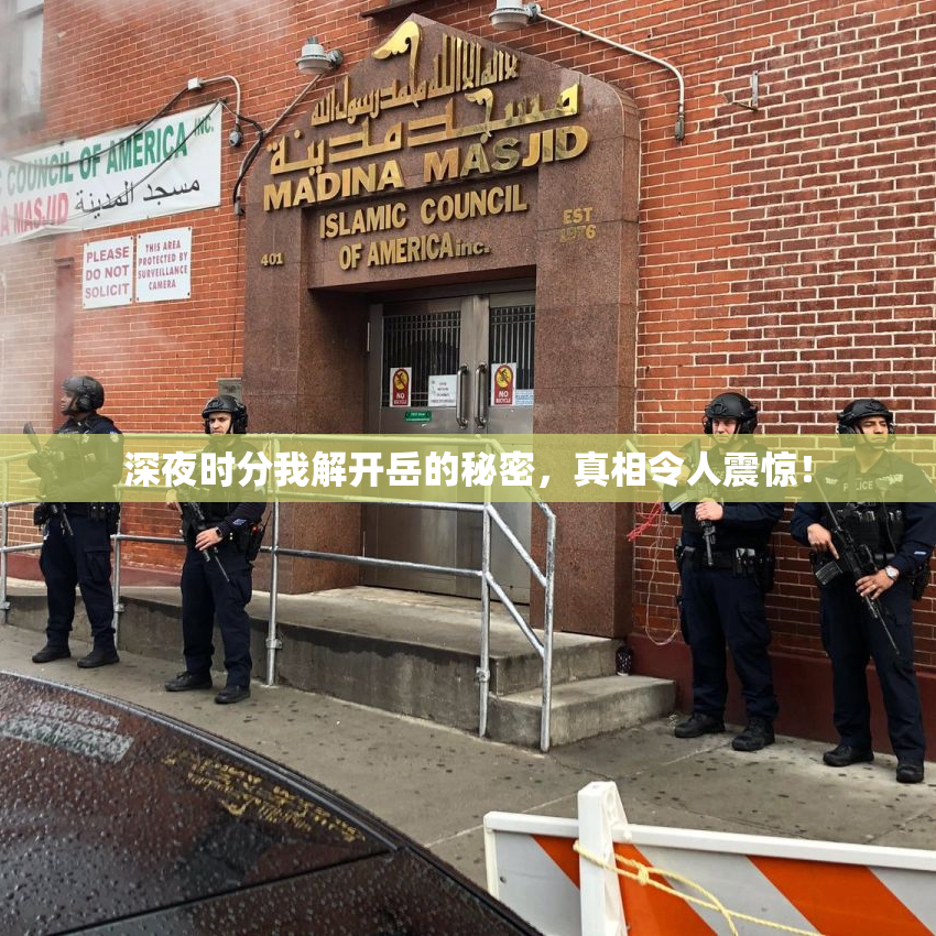 深夜时分我解开岳的秘密，真相令人震惊！