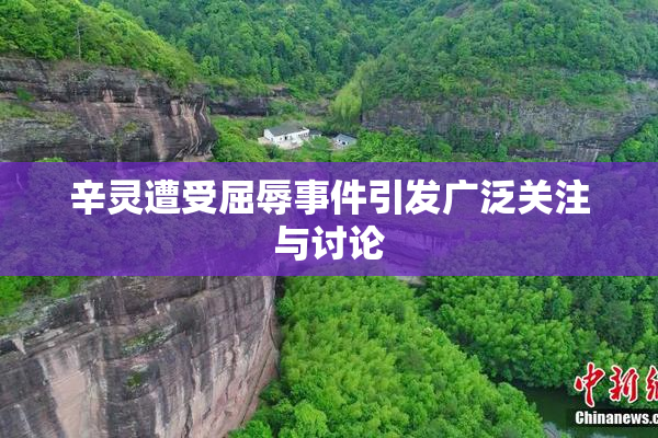 辛灵遭受屈辱事件引发广泛关注与讨论