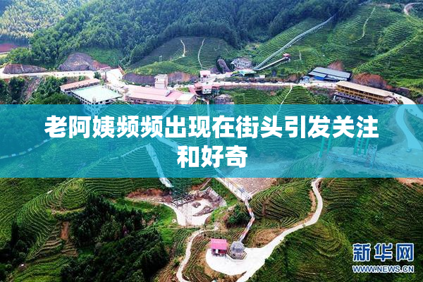 老阿姨频频出现在街头引发关注和好奇