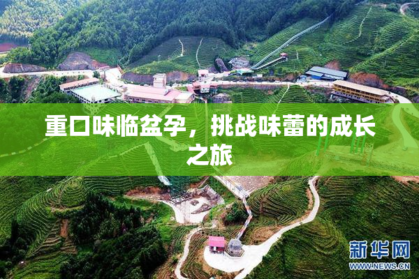 重口味临盆孕，挑战味蕾的成长之旅