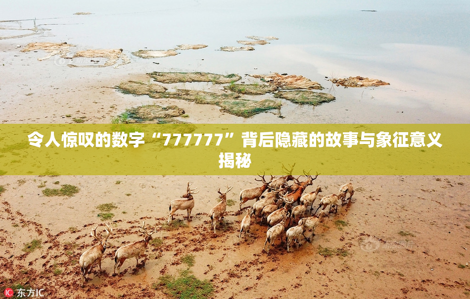 令人惊叹的数字“777777”背后隐藏的故事与象征意义揭秘