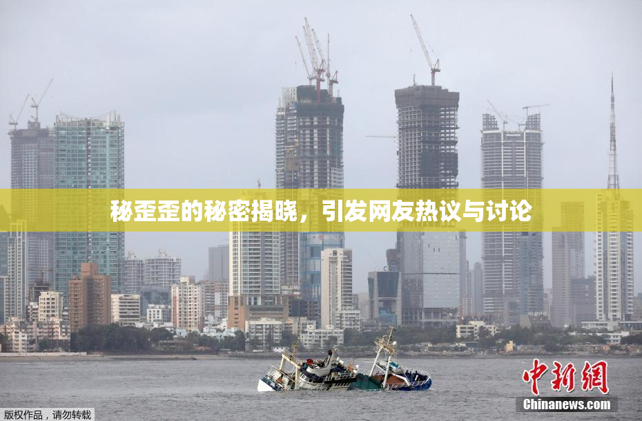 秘歪歪的秘密揭晓，引发网友热议与讨论