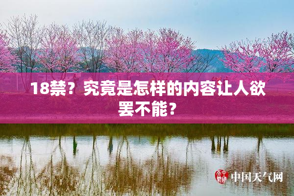 18禁？究竟是怎样的内容让人欲罢不能？
