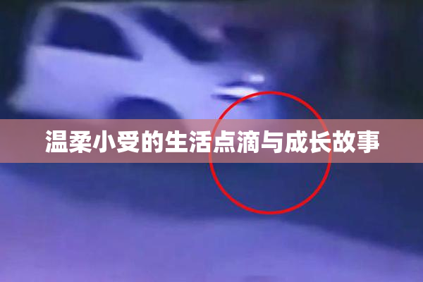 温柔小受的生活点滴与成长故事