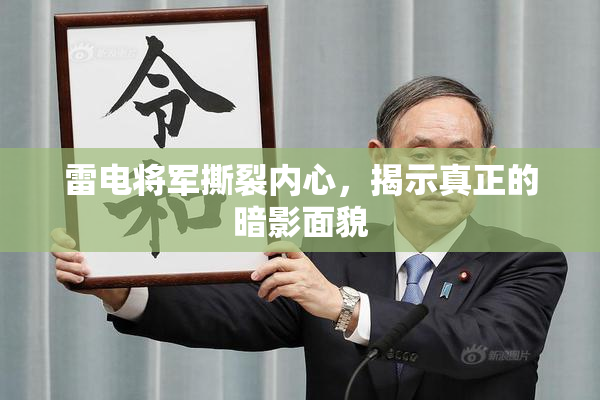 雷电将军撕裂内心，揭示真正的暗影面貌
