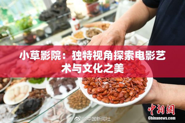 小草影院：独特视角探索电影艺术与文化之美