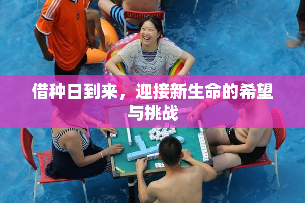 借种日到来，迎接新生命的希望与挑战