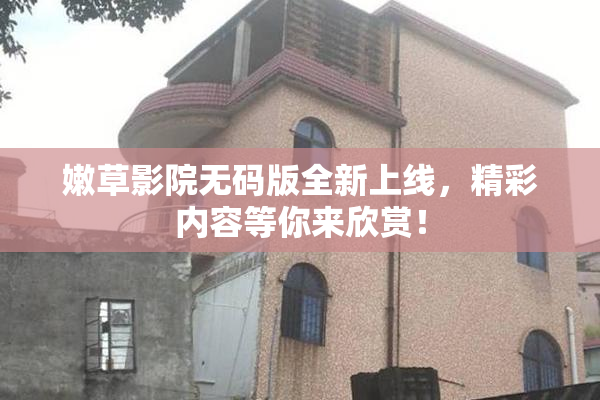 嫩草影院无码版全新上线，精彩内容等你来欣赏！