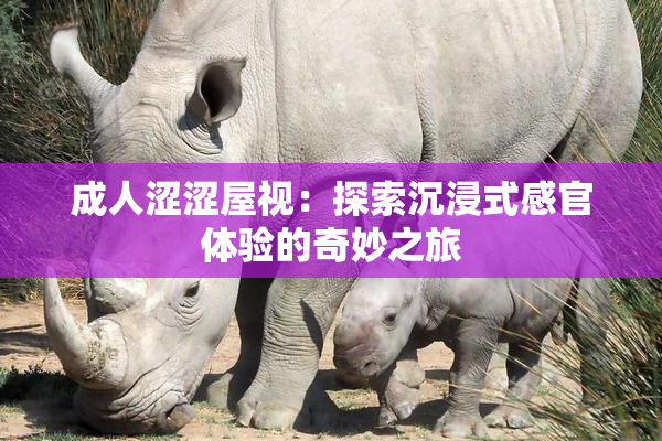 成人涩涩屋视：探索沉浸式感官体验的奇妙之旅
