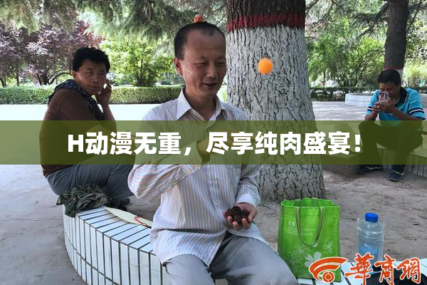 H动漫无重，尽享纯肉盛宴！