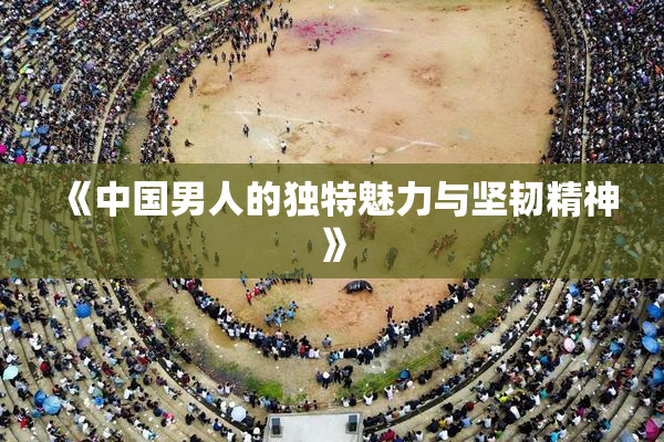 《中国男人的独特魅力与坚韧精神》