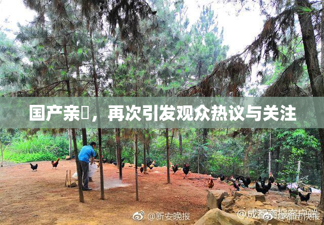 国产亲妺，再次引发观众热议与关注