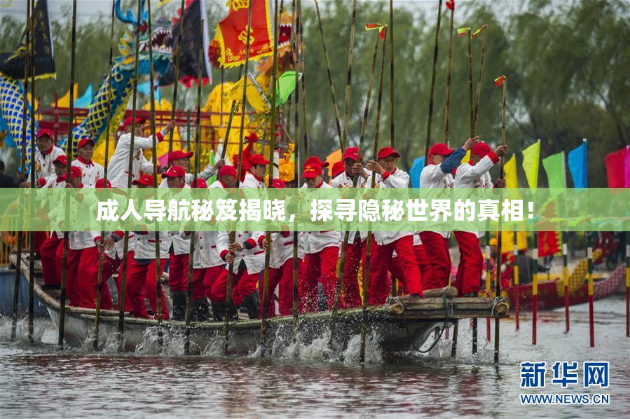 成人导航秘笈揭晓，探寻隐秘世界的真相！