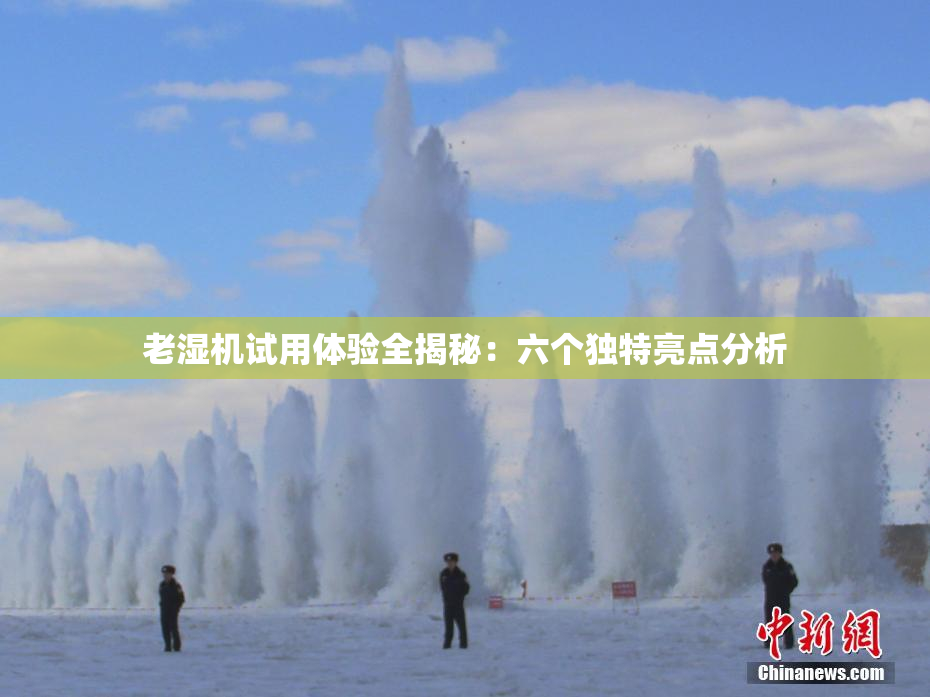 老湿机试用体验全揭秘：六个独特亮点分析