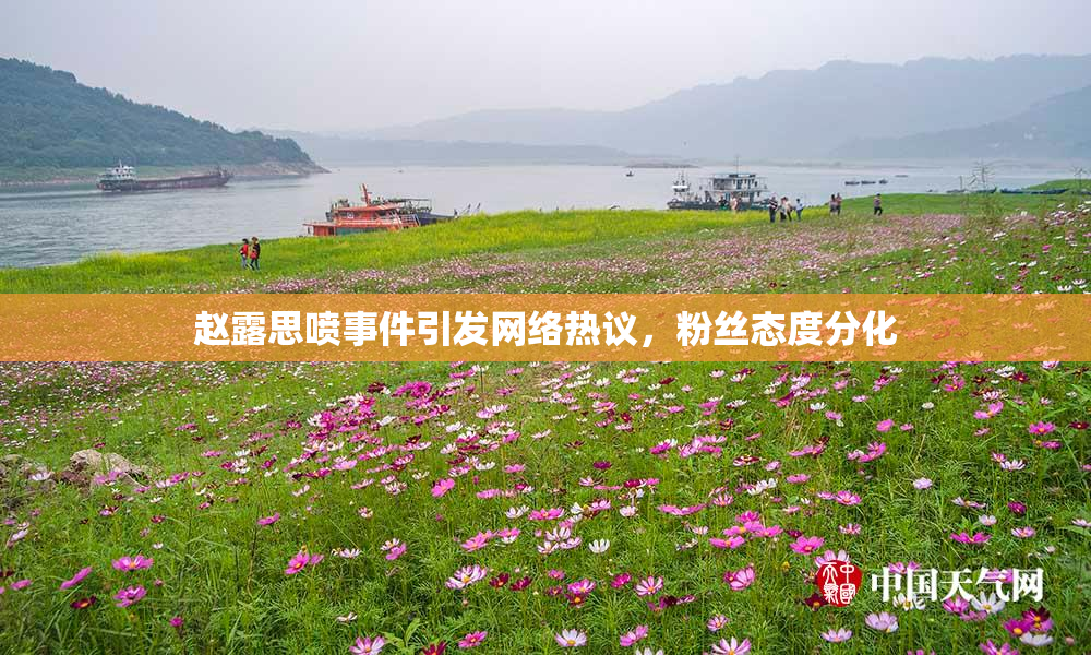 赵露思喷事件引发网络热议，粉丝态度分化