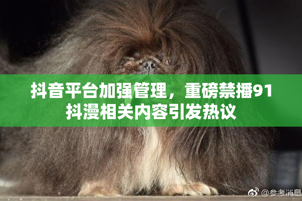 抖音平台加强管理，重磅禁播91抖漫相关内容引发热议