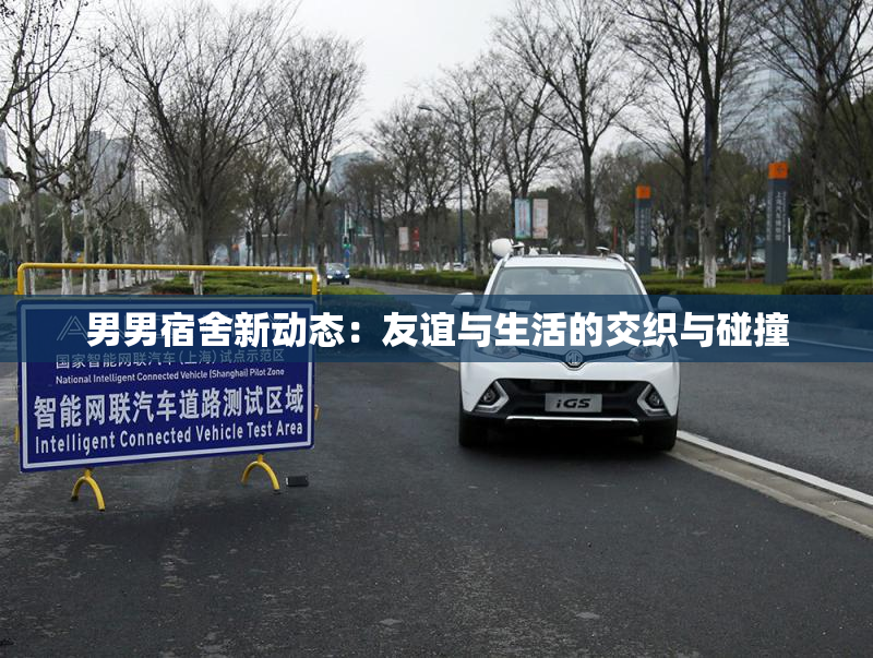 男男宿舍新动态：友谊与生活的交织与碰撞