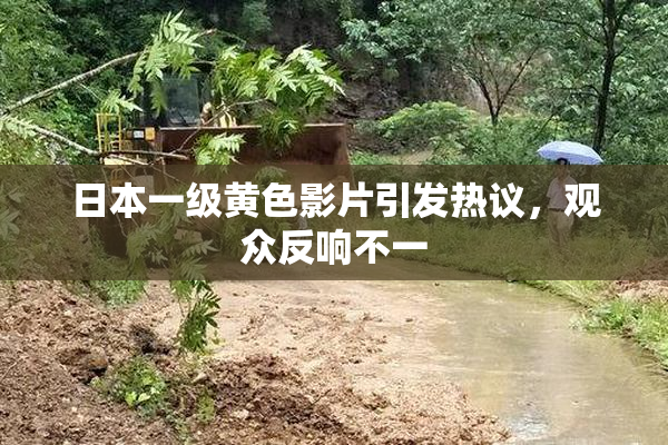 日本一级黄色影片引发热议，观众反响不一