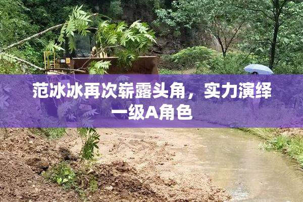 范冰冰再次崭露头角，实力演绎一级A角色
