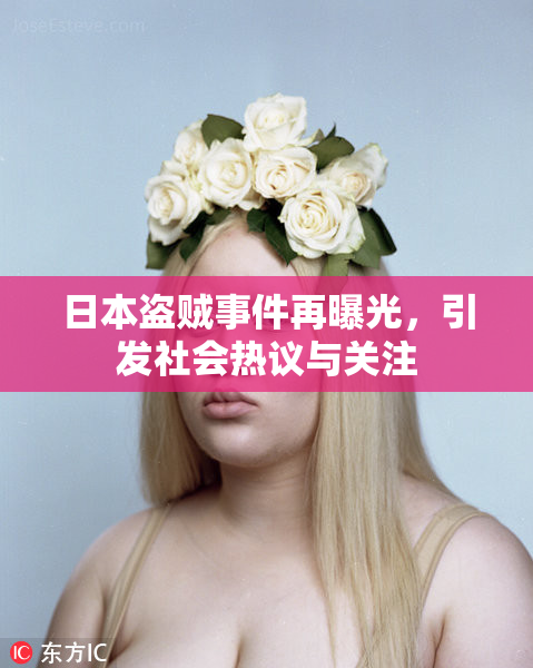 日本盗贼事件再曝光，引发社会热议与关注