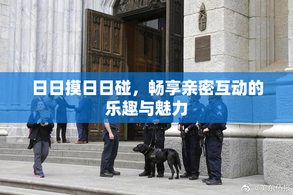 日日摸日日碰，畅享亲密互动的乐趣与魅力