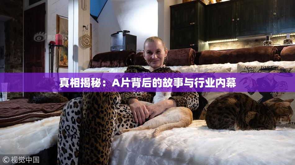 真相揭秘：A片背后的故事与行业内幕