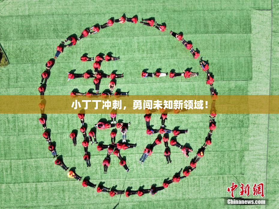 小丁丁冲刺，勇闯未知新领域！