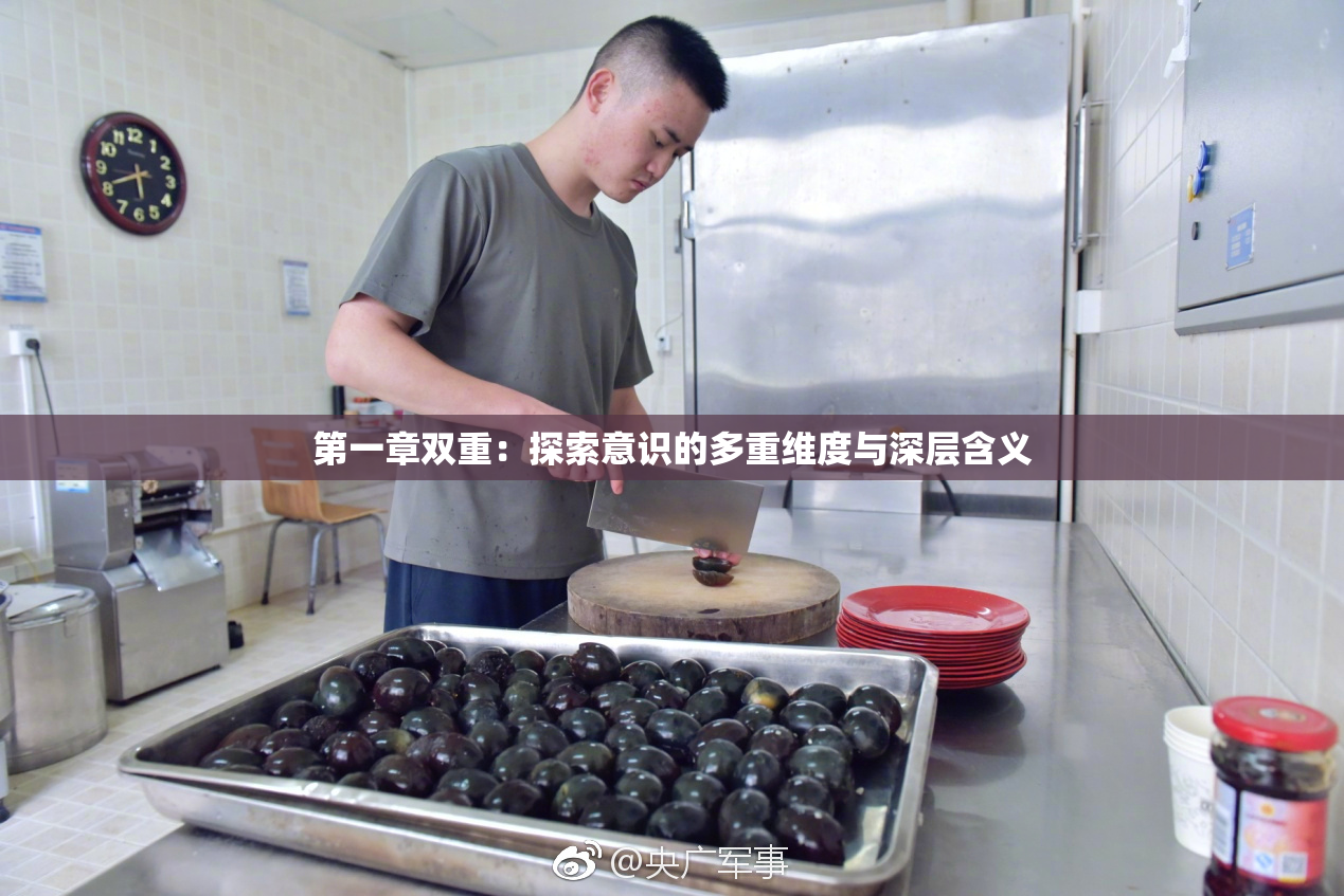 第一章双重：探索意识的多重维度与深层含义