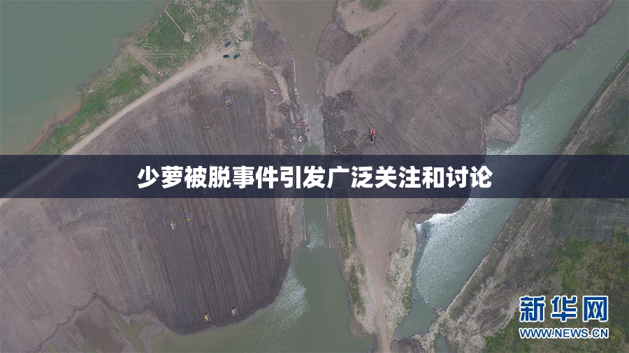 少萝被脱事件引发广泛关注和讨论