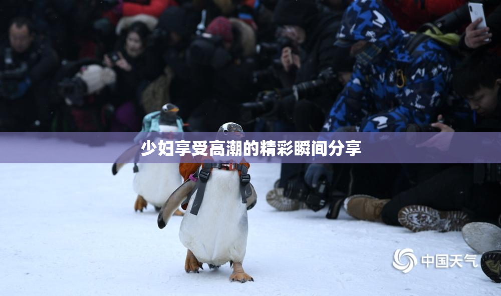 少妇享受高潮的精彩瞬间分享