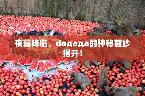 夜幕降临，daдадa的神秘面纱揭开！