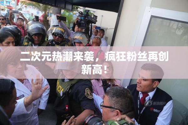 二次元热潮来袭，疯狂粉丝再创新高！