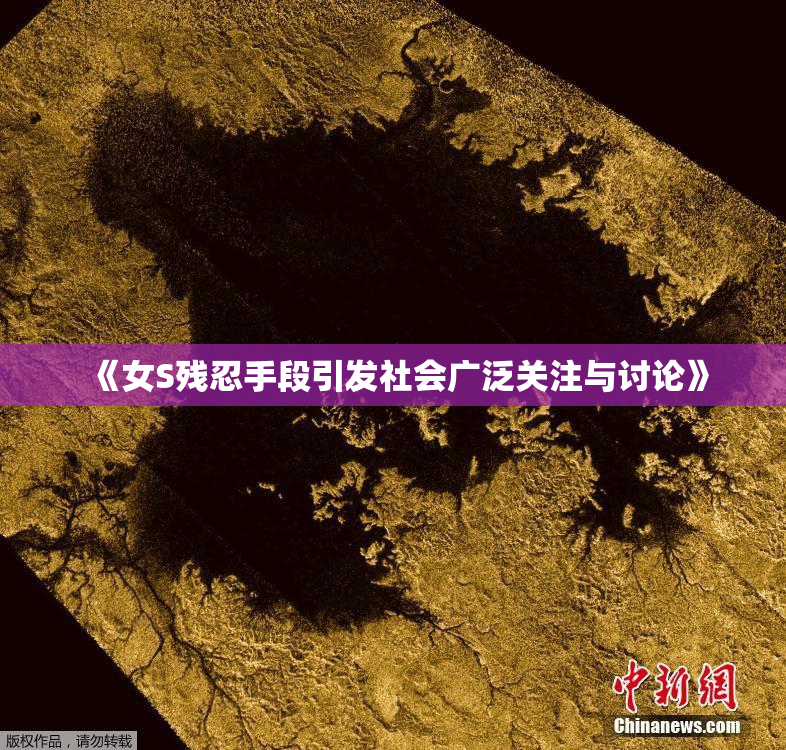 《女S残忍手段引发社会广泛关注与讨论》
