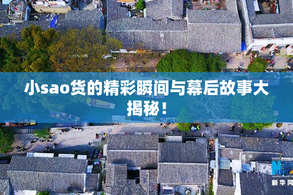 小sao货的精彩瞬间与幕后故事大揭秘！